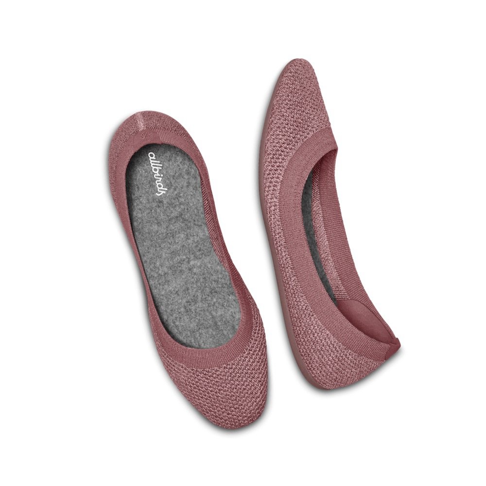 Allbirds Women\'s Flats Pink - Tree Breezers - 04728VAXP